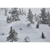 Erin Griffith's photo