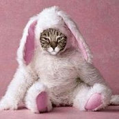 Stacey Pieters's photo