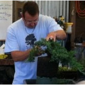 Ron Anderson Bonsai Anderson's photo