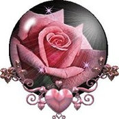 Rose Touchstone's photo