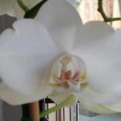 Foto de Deb Herron