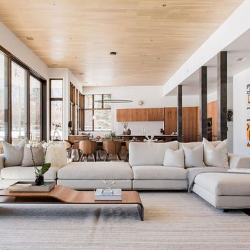 Aspen Spec House