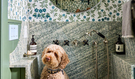 7 Housekeeping Tips for Dog Owners