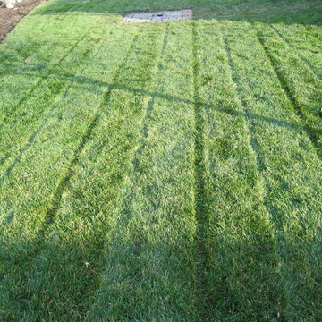 Our Work