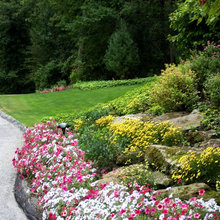 entries and driveways