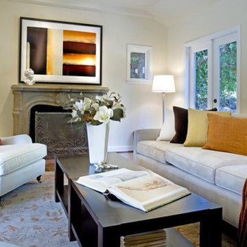 Living Room Projects