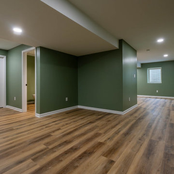Rush Basement Remodel
