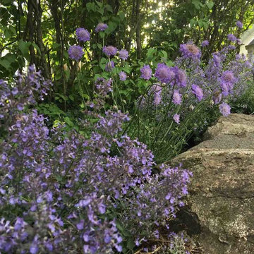 English Gardens