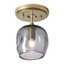 Modern Brass With Oil Rubbed Bronze Accent and Clear Glass