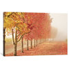 "Fall Trees in the Mist Gallery" by Abhi Ganju, 40x26x0.75"