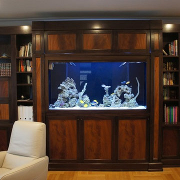 Custom Wall Unit Aquarium