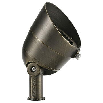 Accent 300 Lumens 35 Degrees Flood Light, 2700K
