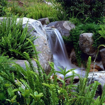 Water features