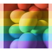 Lori Brozka's photo