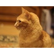 Aleksandr Konjaev's photo
