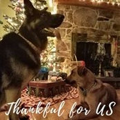 Marie Tedeschi's photo