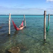 Jesus Gonzalez's photo
