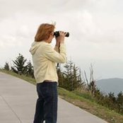 Pam Elderさんの写真
