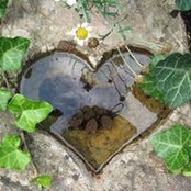Foto von Arlene Upton