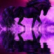 Randi Pipper's photo