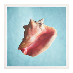 CONCH SHELL WALL ART - NEW - Products