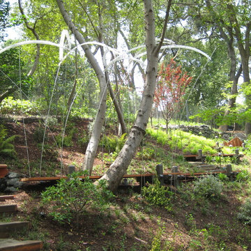 Asian Inspired Garden