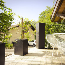 Plantes Pour Le Balcon