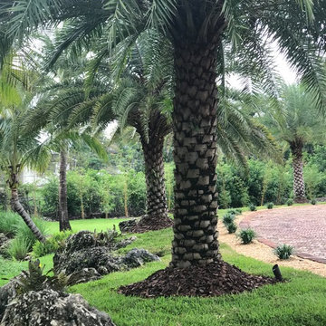 Our Work