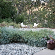 Modern Gardens