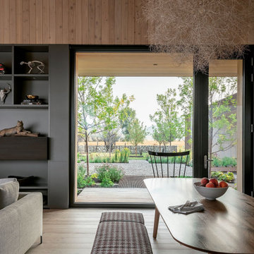 Dogtrot