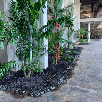 Mauna Kea Hotel Landscape Renovation