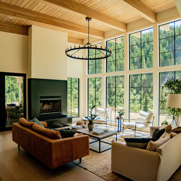 Modern living room and fireplace with view
