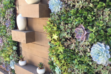 Example of a minimalist patio design in San Diego