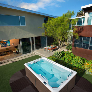 Endless Pools Systems