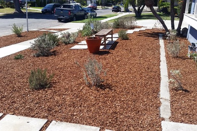 This is an example of a traditional landscaping in Los Angeles.