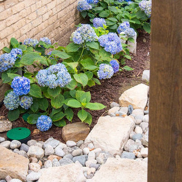 Hydrangea cutting garden
