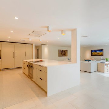 Luxury Living Room With Kitchen Interior, Modern House, Remodeling Ideas