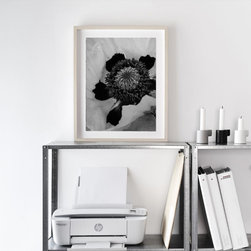 September 2023 Catalog Sample - Prints And Posters