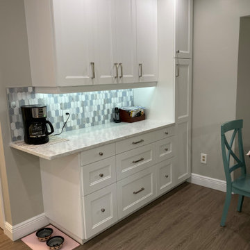 Sweetwater Kitchen Remodel and Update