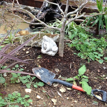 Zen Water project - ongoing