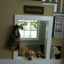 DogHouse