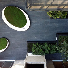 世界のHouzzから：ブラジルが生んだ庭園デザインの鬼才、ロベルト・ブーレ・マルクスの世界