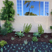 Landscape design