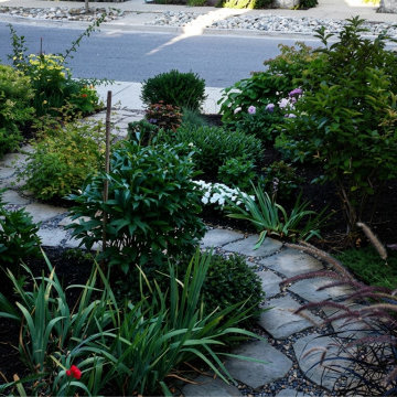 Landscape & Walkway