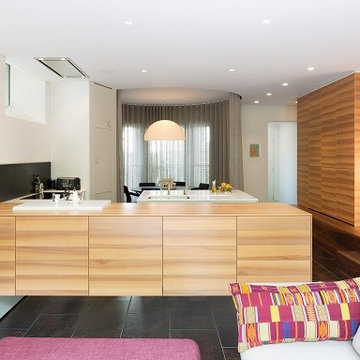 House in Holland Park 2