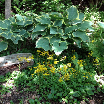 Award Winning Gardens
