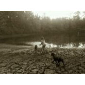 Foto von April Whitworth