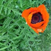 Joyce Kempker's photo