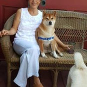 Karen Brink's photo