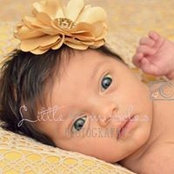 Josephine Vitale Vuotto's photo